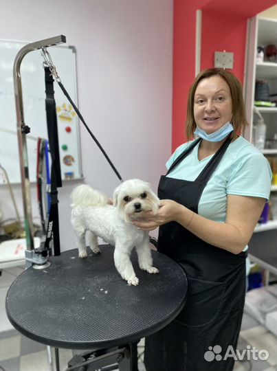 Груминг собак. Стрижка кошек. Передержка