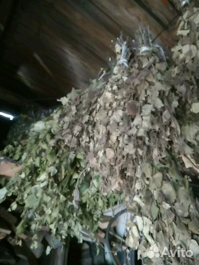 Веник берёзовый