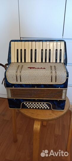 Аккордеон 1/2