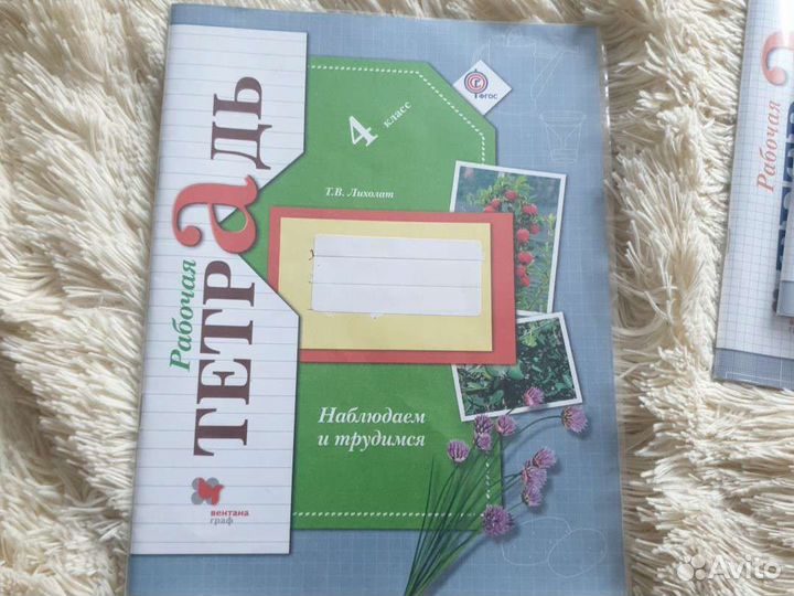 Рабочая тетрадь Наблюдаем и трудимся 4 кл,школа 21