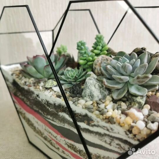 Флорариум в форме сердца