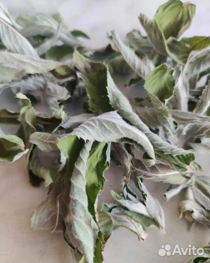 Лечебные травы