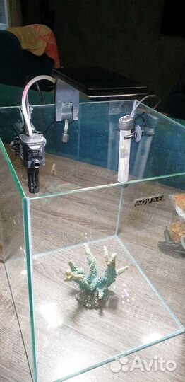 Аквариум Aquael Shrimp Set Smart + доп. вещи