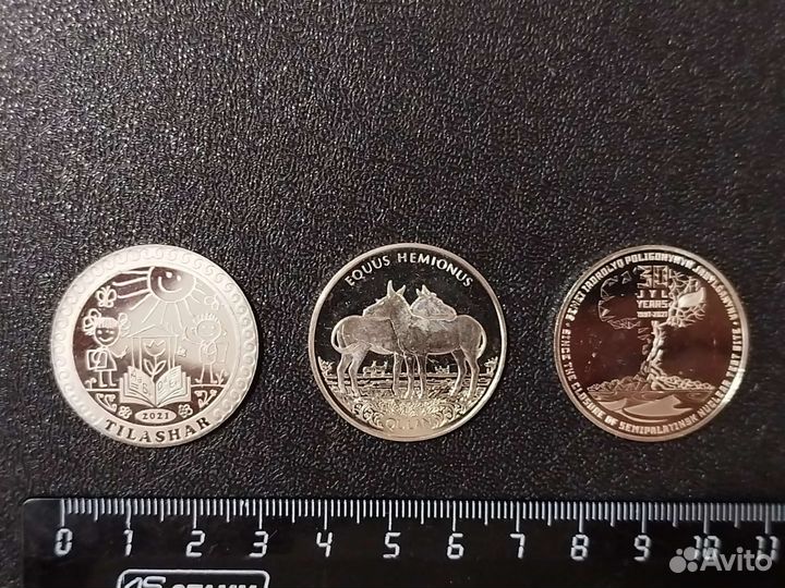 Казахстан 2021. Кони. Школьники. Ядерный взрыв