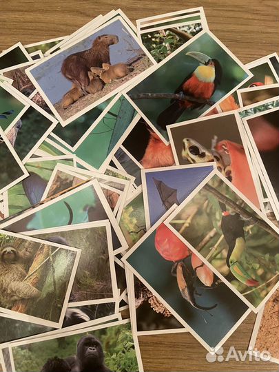 Наклейки стикермания карусель