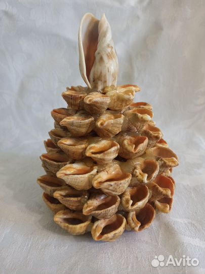 Сувенир из ракушек