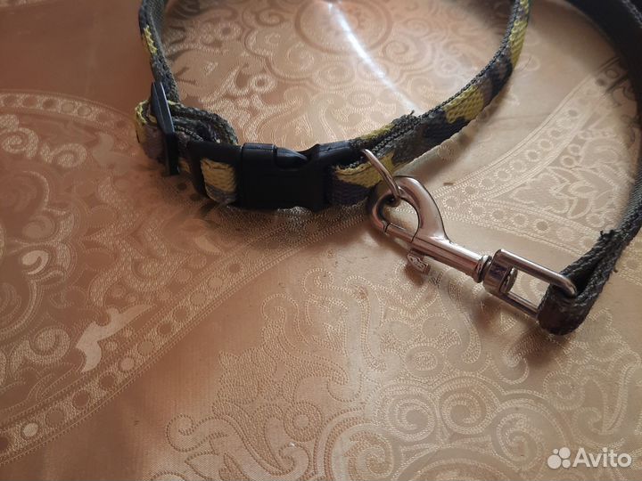 Ошейник для собак