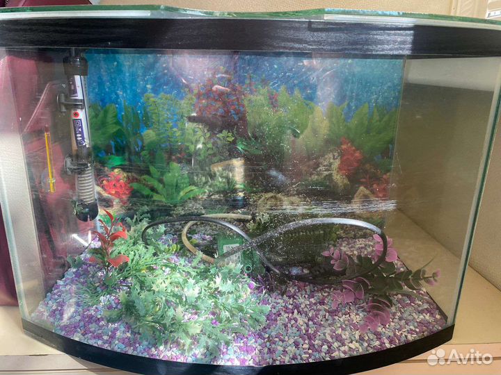 Продам аквариум 40литров