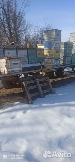 Прицеп пчеловодческий