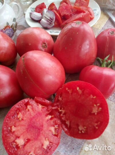 Семена минусинских томатов коллекция 23 сорта