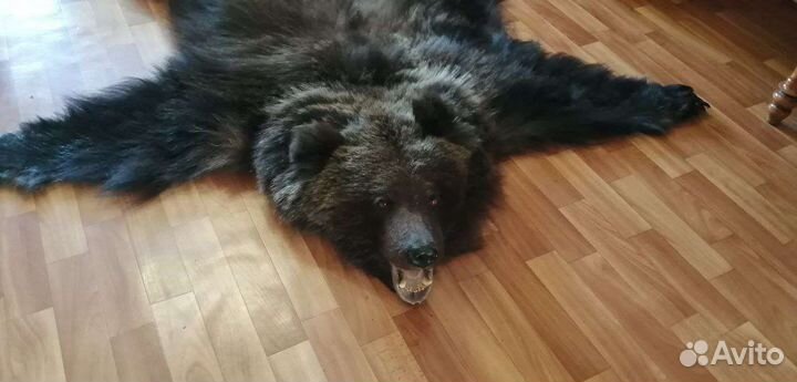 Медведь имитация