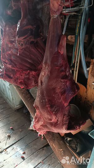 Мясо говядина