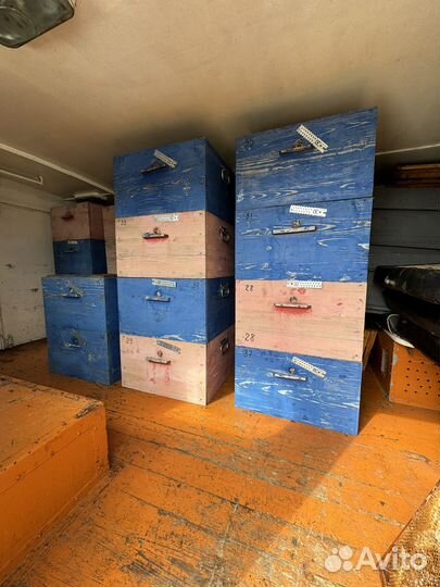 Мед собственного производства