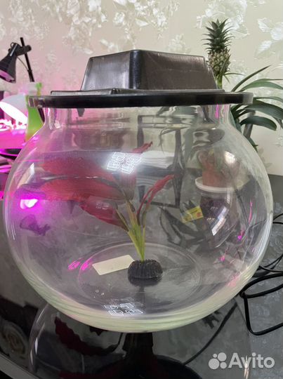 Аквариум с подсветкой