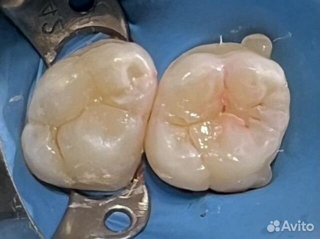 Обучение врач стоматолог объявление продам