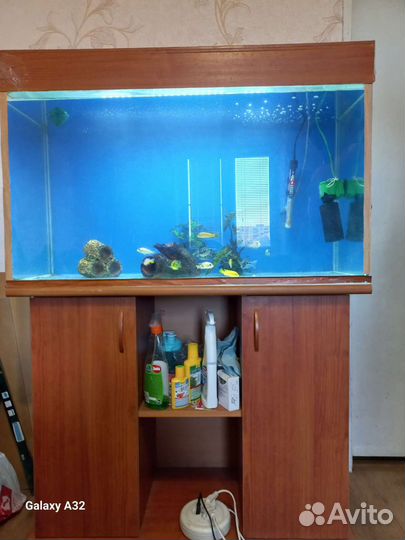 Аквариум с тумбой 220 литров с рыбками (цыхлиды)