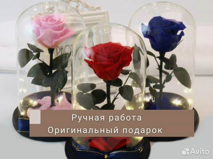 Роза в колбе