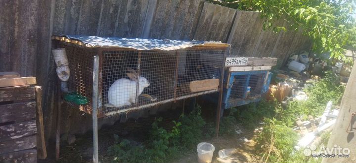 Клетка для кролика