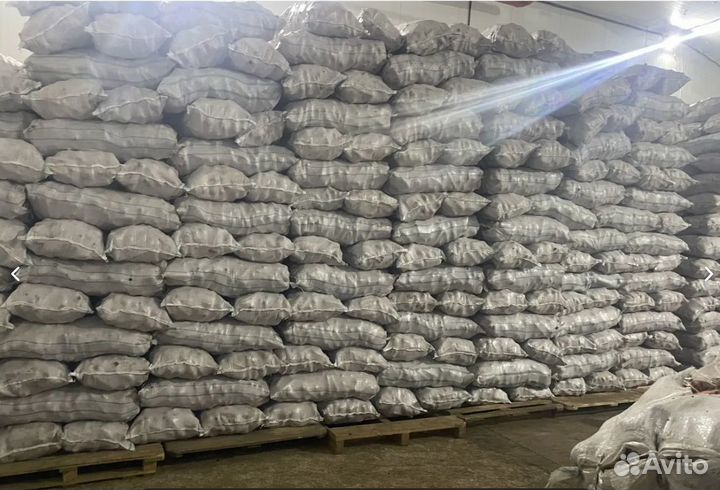 Картофель оптом