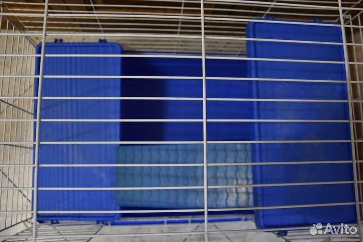 Большая клетка для шиншиллы