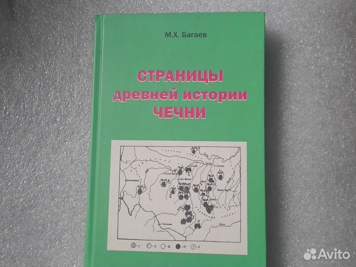 Книга Багаева