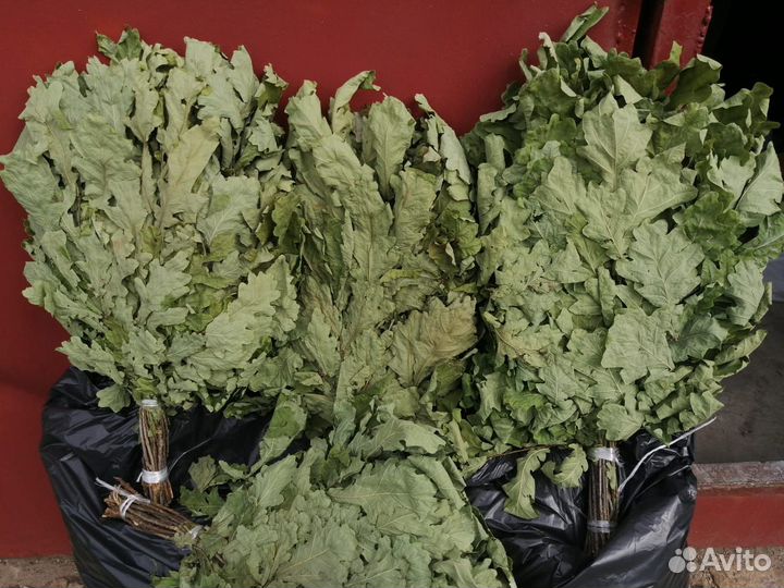 Веники для бани