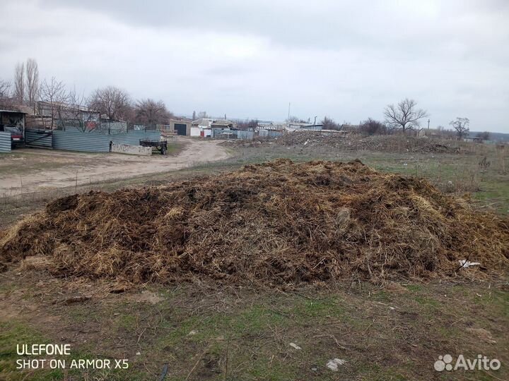 Навоз коровий бесплатно