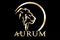 Aurum