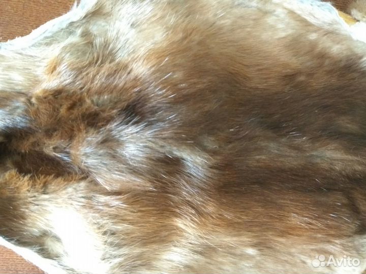 Шкурки от норки, горностая и барсука в комплекте