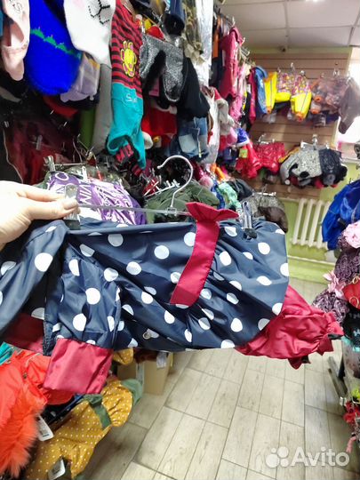 Одежда для собак