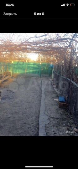 Дом 20 м² на участке 43 сот.