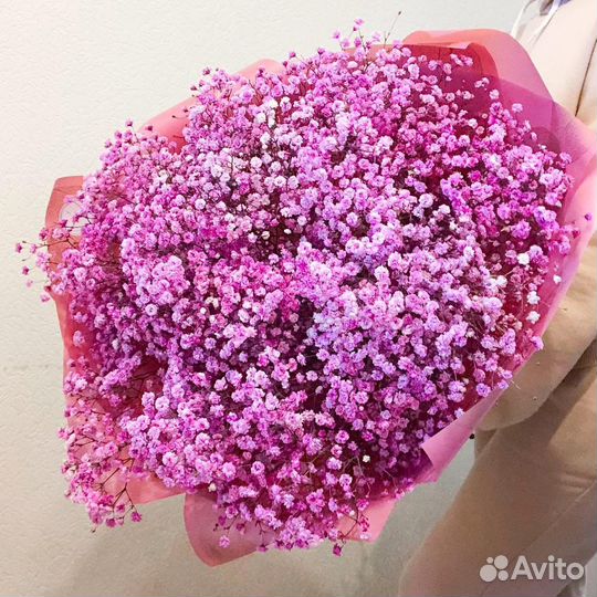 Букет из Гипсофилы. Цветы с Доставкой