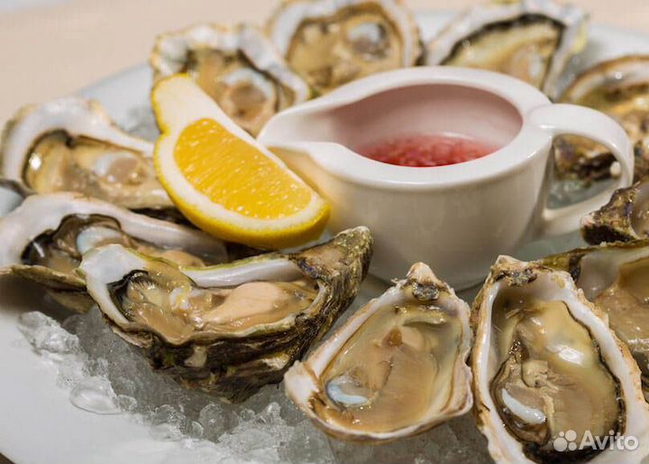 Живые устрицы откроем подадим