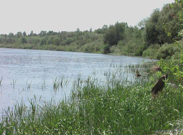 Участок 8 сот. (ИЖС)