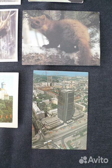 Подборка открыток 1979-1989 гг