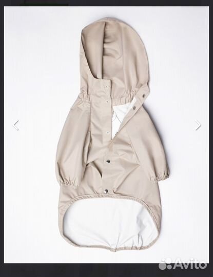 Новый дождевик pawsome латте корги