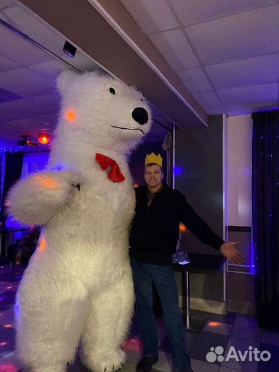 Белый мишка поздравление, Белый медведь