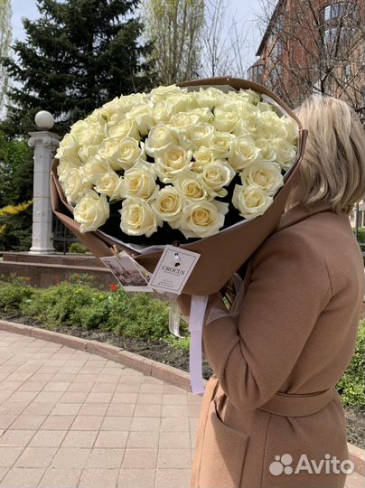 51 белая роза