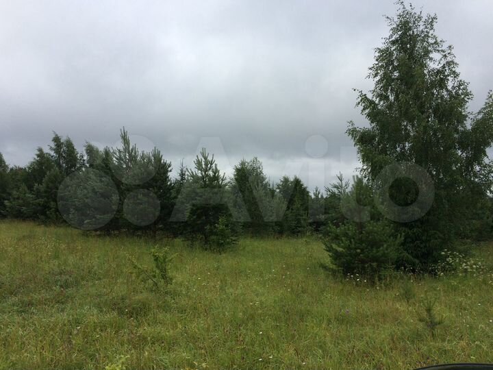 Участок 50 сот. (ИЖС)