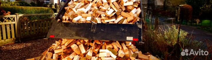 Дрова в Сертолово