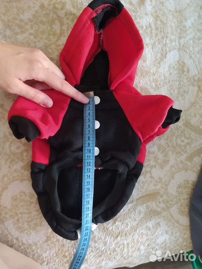 Костюм на маленькую собаку