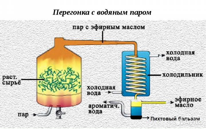 Пихтовое масло на Родниковой Воде