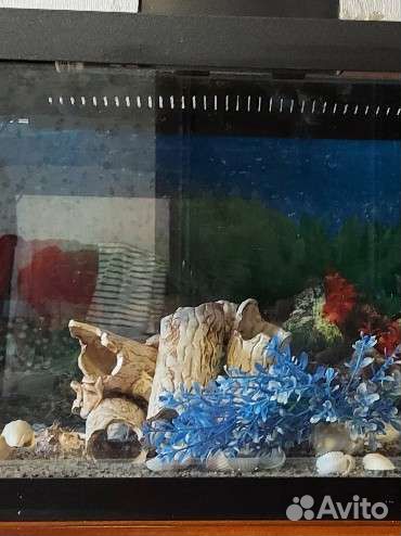 Аквариум aquael 60