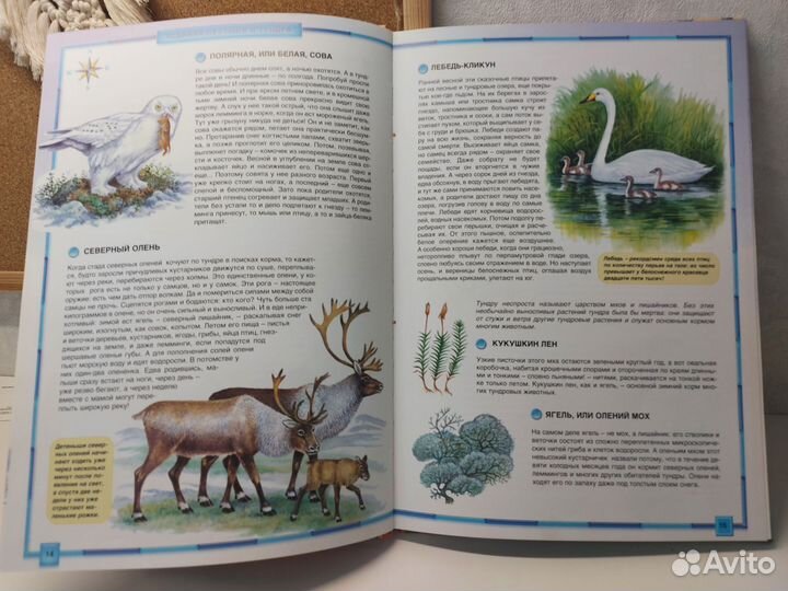 Книга Атлас природа России, новый