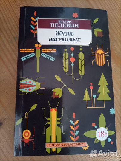 Жизнь насекомых 