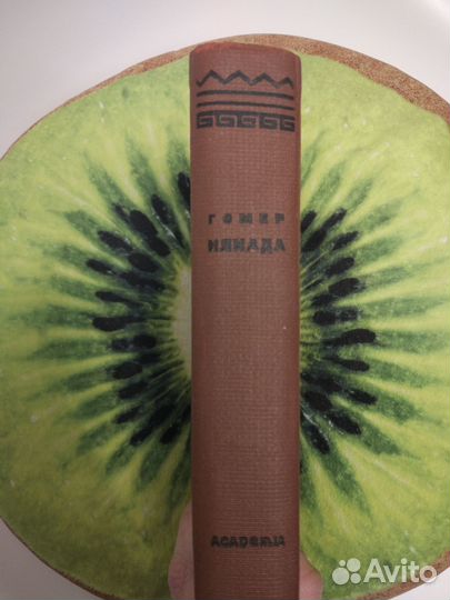 Гомер. Илиада. Academia, 1935. В отл.состоянии