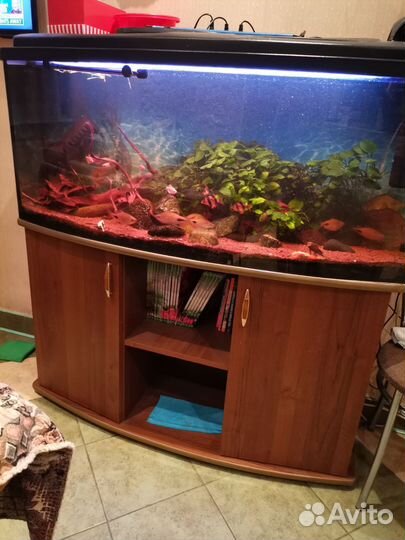 Аквариум с тумбой