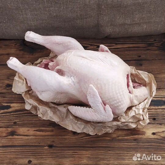 Мясо домашней птицы