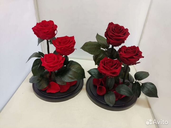 Роза в колбе