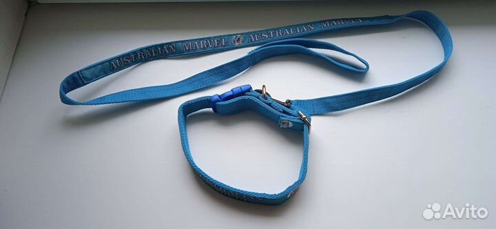 Ошейник с поводком